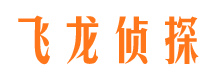 凤城找人公司